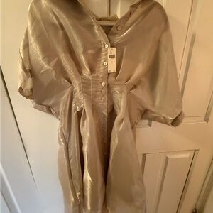 Elegant Silver Button-Up Dress